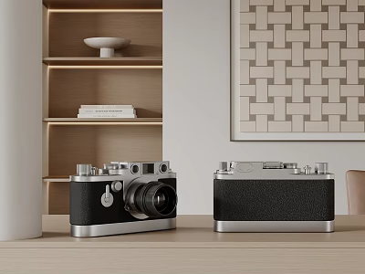 Vintage Film Cameras In Modern Living Room Setup 3d model