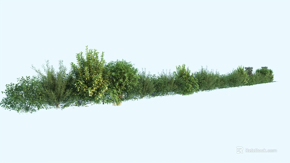 Lush Green Shrubs Hedge With Dense Foliage And Varied Leaf Shapes In Garden Landscape 3d model 