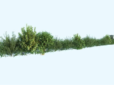 Lush Green Shrubs Hedge With Dense Foliage And Varied Leaf Shapes In Garden Landscape 3d model