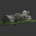 Natural Wooden Log Decorative Piece With Green Grass Base On Dark Background