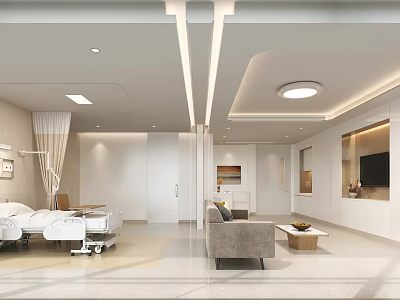 Hospital Special Needs Ward Bed Sofa Combination 3d model