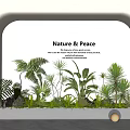 Indoor Plant Combination With Ferns Palms And Small Green Plants For Nature And Peace Interior