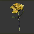 Beautiful Yellow Rose with Green Stem and Leaves on Gray Background