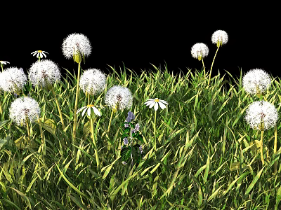 Green Grass Field With White Dandelions And Daisies Against Black Background 3d model