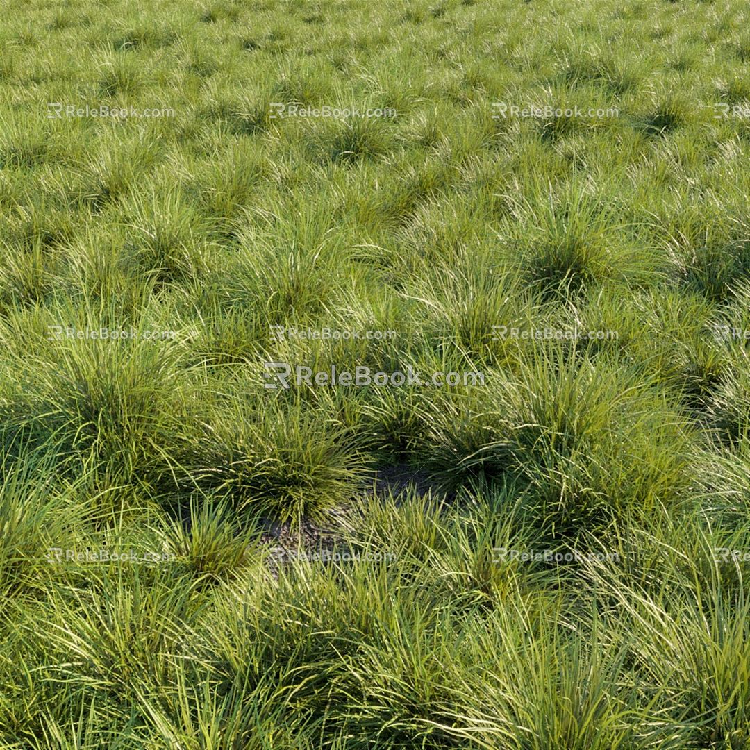 modern grass lawn turf green 3d model