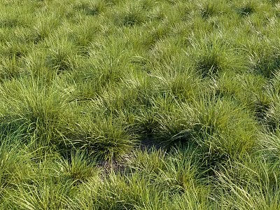 Lush Green Grass Field With Abundant Herbaceous Plants And Natural Greenery 3d model