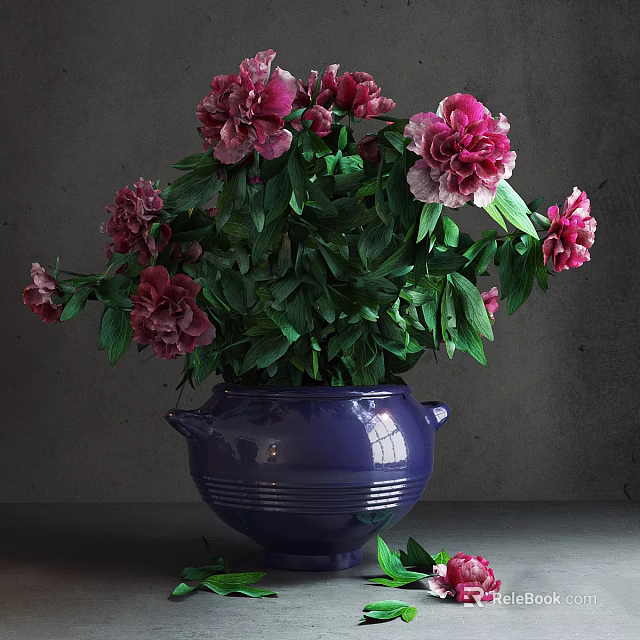 Potted Plant with Pink and Red Peonies Green Leaves in Purple Vase Against Gray Background 3d model 