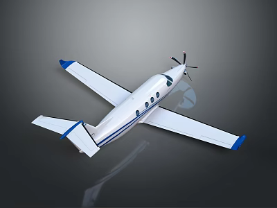 Small Private Aircraft with White Fuselage Blue Wings and Propeller 3d model
