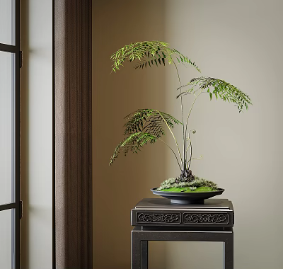 Decorative Indoor Bonsai Plant in Black Pot with Moss on Carved Wooden Stand 3d model
