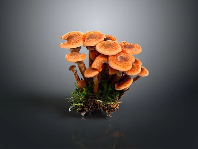 Vibrant Orange Cluster Mushrooms With Fresh Green Moss At Their Roots 3d model