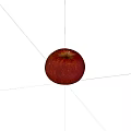 Close Up View of Fresh Red Shiny Apple on Black Background