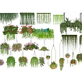 Various Hanging Potted Plants With Green Leaves And Colorful Flowers For Indoor Decoration