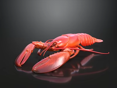 Realistic Red Lobster With Large Claws On Smooth Black Background Surface 3d model
