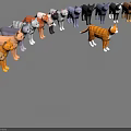Colorful Low Poly Cat Models Standing in a Row with Various Hues 3d model