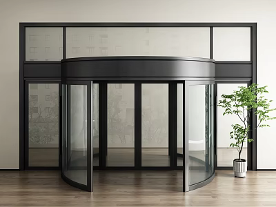 Modern Revolving Door Design With Glass Panels Black Frame Wooden Floor And Green Plant 3d model