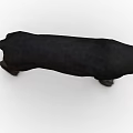 Realistic 3D Rendered Wild Black Panther Standing Posture With Sharp Eyes And Black Fur
