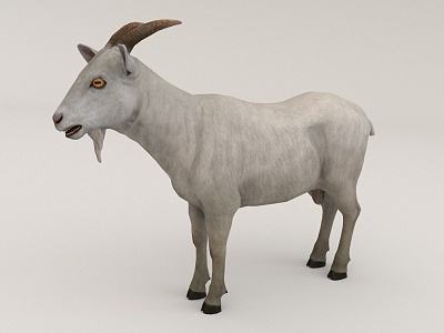 goat animal 3d model