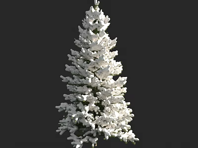 Tall Snow Covered Evergreen Tree With White Snow On Branches And Dark Background 3d model