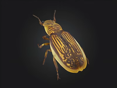 Yellow And Brown Striped Beetle With Detailed Exoskeleton Texture On Black Background 3d model