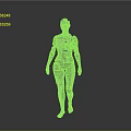 Silver Humanoid Robot Figure With Geometric Segments Gray Background And Reflective Floor
