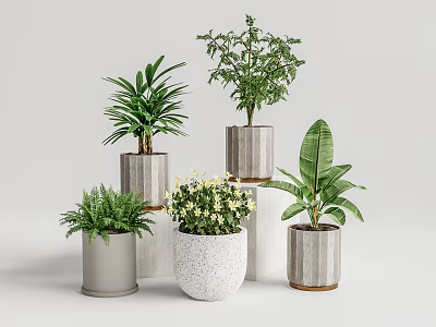 Stylish Potted Plants With Various Green Foliage In Modern Textured Pots 3d model
