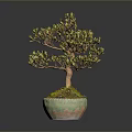 Artistic Bonsai Arbor With Curved Trunk Green Leaves And Mossy Pot