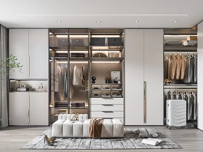 Modern Wardrobe With Glass Doors Built-in Storage Clothing Racks And Bench On Rug 3d model