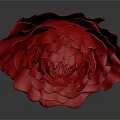Red Rose with Layered Petals Shiny Surface and Reflection on Gray Background 3d model