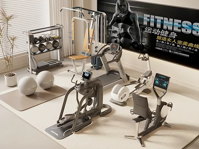 Home Gym Sports Equipment With Multi Functional Training Machine Dumbbells And Fitness Balls 3d model