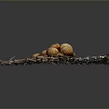 Arrangement of Fresh Brown Mushrooms on Natural Wood Chips with Small Twigs