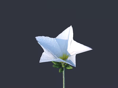 flower wild flower green plant flower 3d model flower wild flower green plant flower 3d model