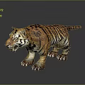 Realistic 3D Tiger Model With Orange Black Stripes Open Mouth And Reflection 3d model