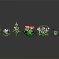Vibrant Flower Plants with Multiple Colors Various Shapes and Green Stems Leaves on Dark Background