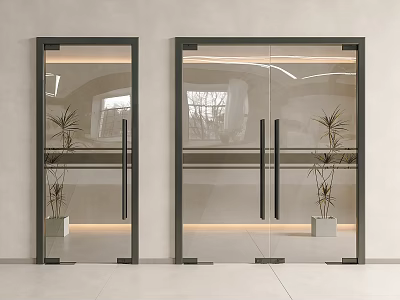 Modern Glass Double Doors With Black Frames And Indoor Potted Plants Interior Design 3d model