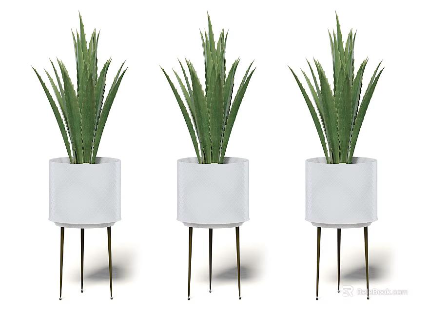 Three Potted Plants With White Pots And Metal Legs Long Green Leaves 3d model 