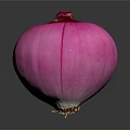 Fresh Red Onion With Vibrant Purple Color Whole Bulb Isolated On Dark Background