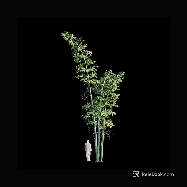 Tall Bamboo Plant with Lush Green Leaves and Human Figure Silhouette 3d model 