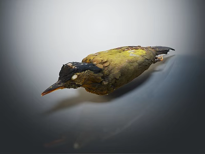 Green And Brown Bird With Black Head And Orange Beak In Lying Posture 3d model