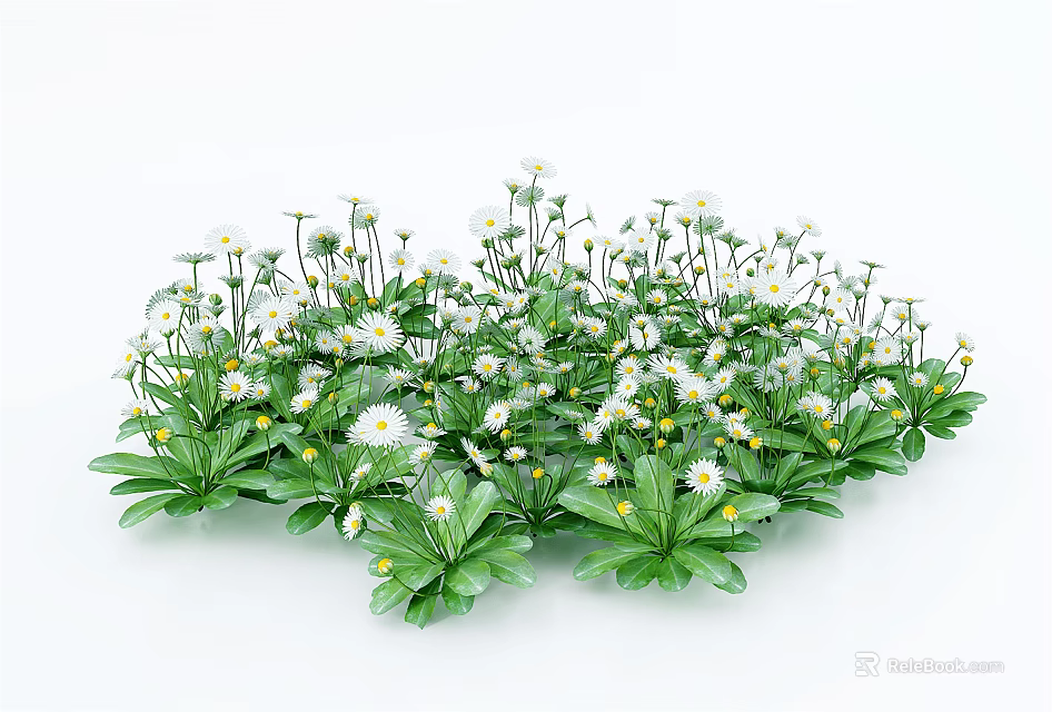 Beautiful Bunch of Small White Flowers With Yellow Centers Green Leaves and Stems 3d model 