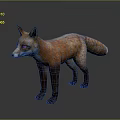 Reddish Orange Fox Standing Alert On Gray Background With White Chest And Black Legs 3d model