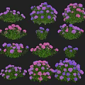 Vibrant Purple And Pink Flowers With Green Leaves In Lush Garden