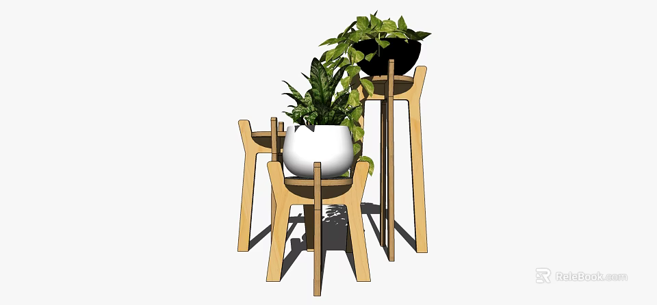 Bonsai Plants With Green Foliage On Wooden Stands For Indoor Home Decor 3d model 
