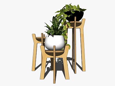 Bonsai Plants With Green Foliage On Wooden Stands For Indoor Home Decor 3d model