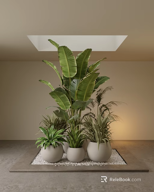 Potted Plants with Large Leaf Greenery and Small Planters in Modern Indoor White Decor 3d model 