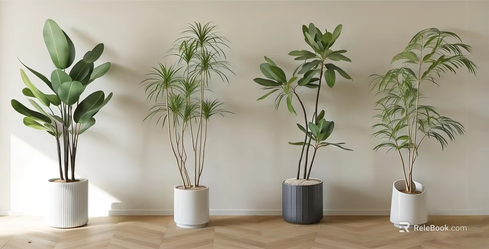 Indoor Potted Plants With Various Green Leaves In White Gray Pots On Herringbone Wooden Floor 3d model 