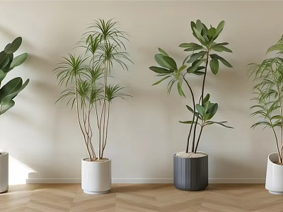Indoor Potted Plants With Various Green Leaves In White Gray Pots On Herringbone Wooden Floor 3d model