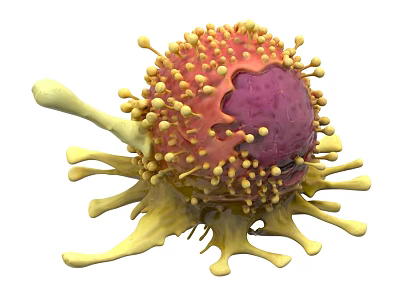 3D Rendering of Microscopic Biological Cell With Purple Core And Yellow Projections 3d model