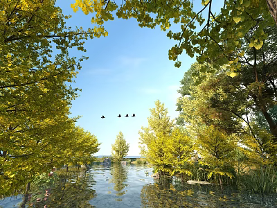 Scenic Water Surface With Yellow Leaf Trees Green Foliage Blue Sky And Flying Birds 3d model
