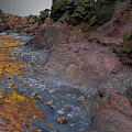 Natural Garden Landscape With Layered Rock Formations Green Moss And Colorful Vegetation