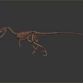 Pink Dinosaur Skeleton Model In Walking Pose With Dark Background And Reflective Surface
